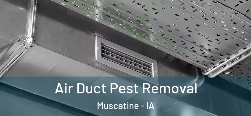  Air Duct Pest Removal Muscatine - IA