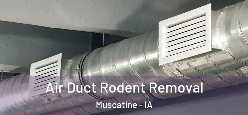 Air Duct Rodent Removal Muscatine - IA