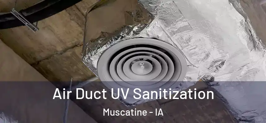  Air Duct UV Sanitization Muscatine - IA