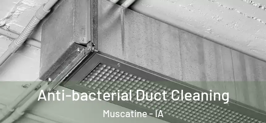  Anti-bacterial Duct Cleaning Muscatine - IA