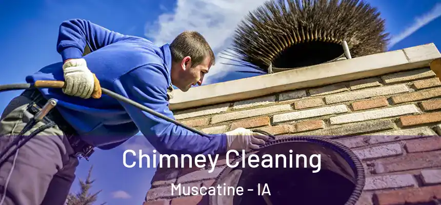  Chimney Cleaning Muscatine - IA