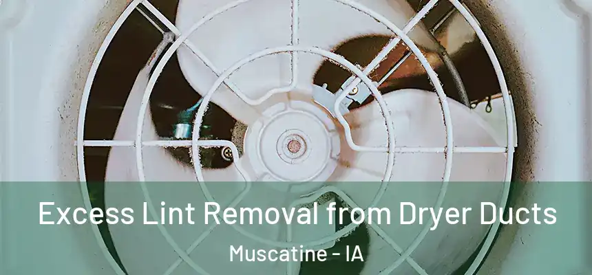  Excess Lint Removal from Dryer Ducts Muscatine - IA