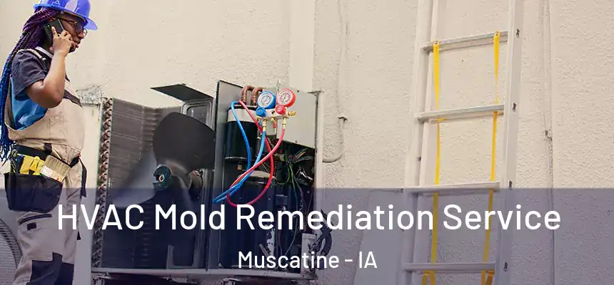 HVAC Mold Remediation Service Muscatine - IA