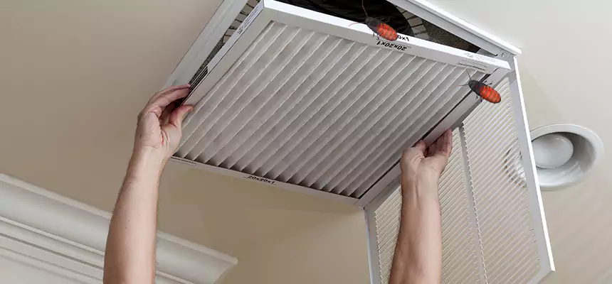 Preventive Cockroach-Proofing for Ducts in Muscatine