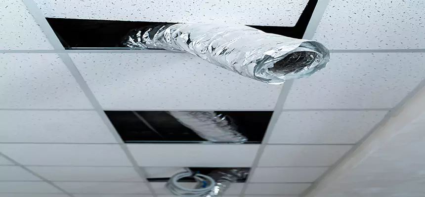 Affordable HVAC Sanitizing After Pest Removal in Muscatine