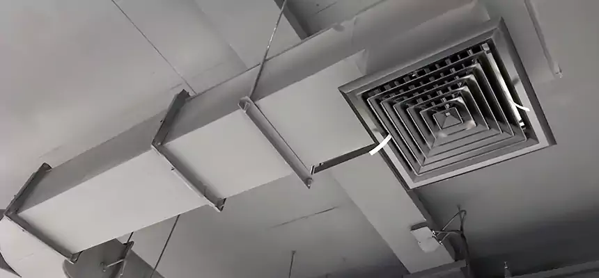 Restorative Allergy Relief Vent Cleaning – Coil, Blower & Housing Detail in Muscatine