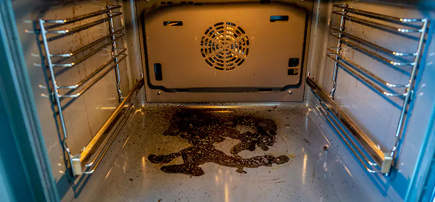 Our Dryer Vent Mold Cleaning Services in Muscatine, IA