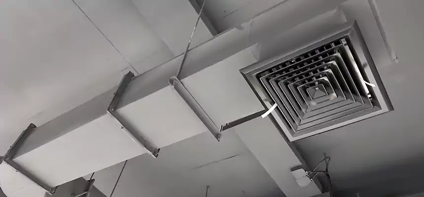 Our Pest Removal From Ducts Services in Muscatine, IA