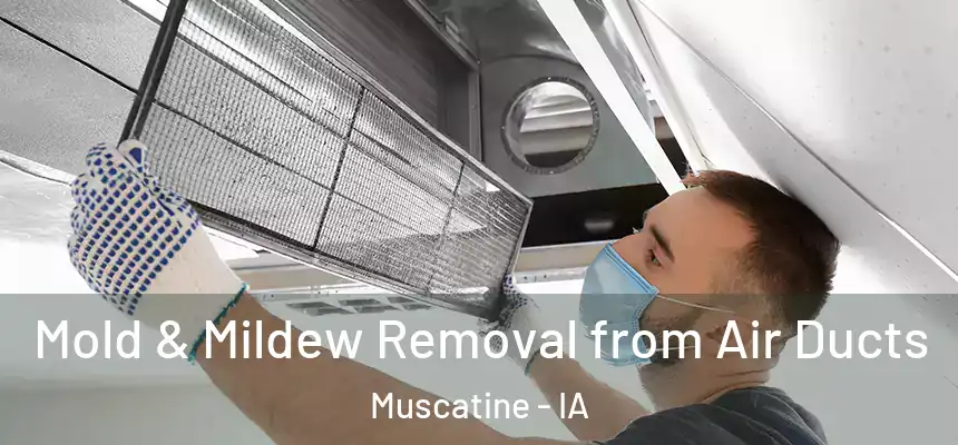  Mold & Mildew Removal from Air Ducts Muscatine - IA