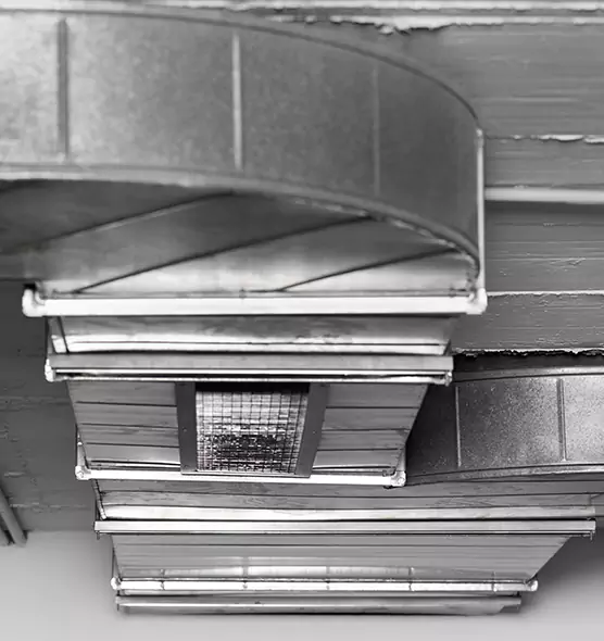 Professional Air Duct Pest Removal in Muscatine, IA