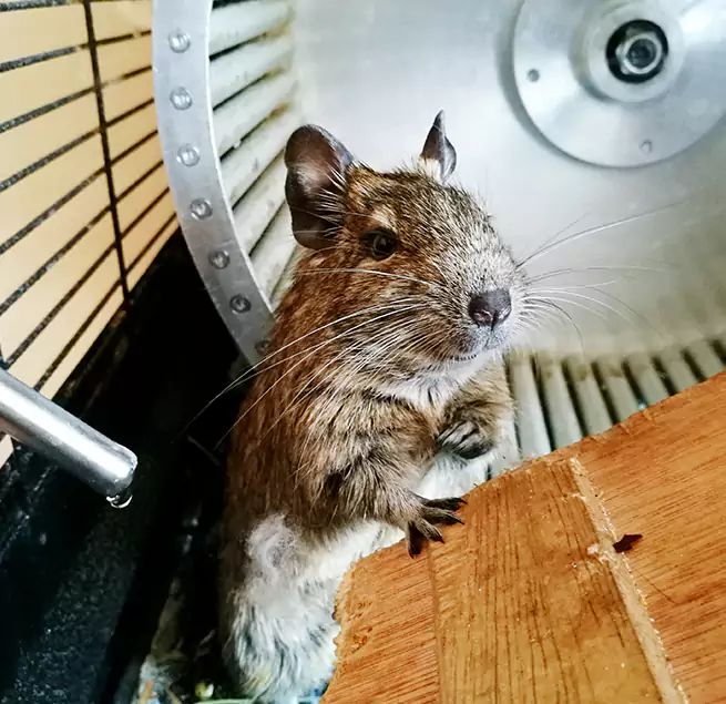 Why Homeowners & Businesses Trust Us Muscatine, IA?