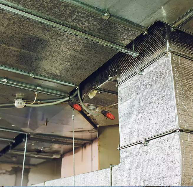 Why Homeowners & Businesses Trust Us Muscatine, IA?