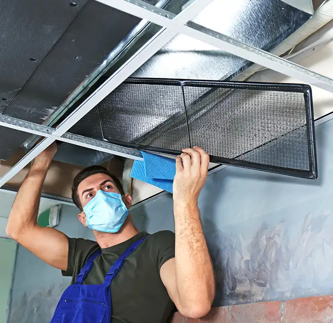 Why Homeowners & Businesses Trust Us in Muscatine, IA?