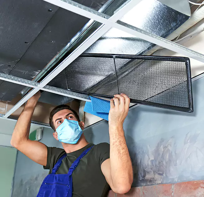  Why Homeowners Businesses Trust Us  in Muscatine, IA?